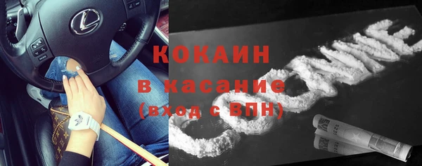2c-b Пестово