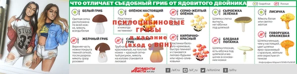 шишки Арсеньев