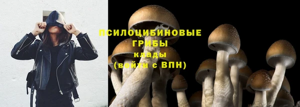 эйфоретик Абаза
