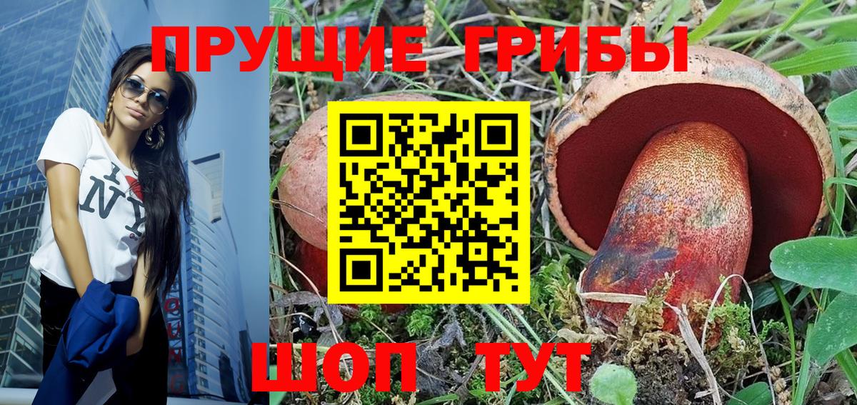 Усолье-Сибирское  Псилоцибиновые грибы GOLDEN TEACHER  Вход с VPN 