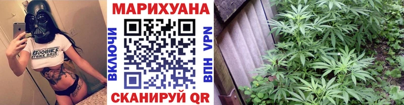 Канабис гибрид Усолье-Сибирское